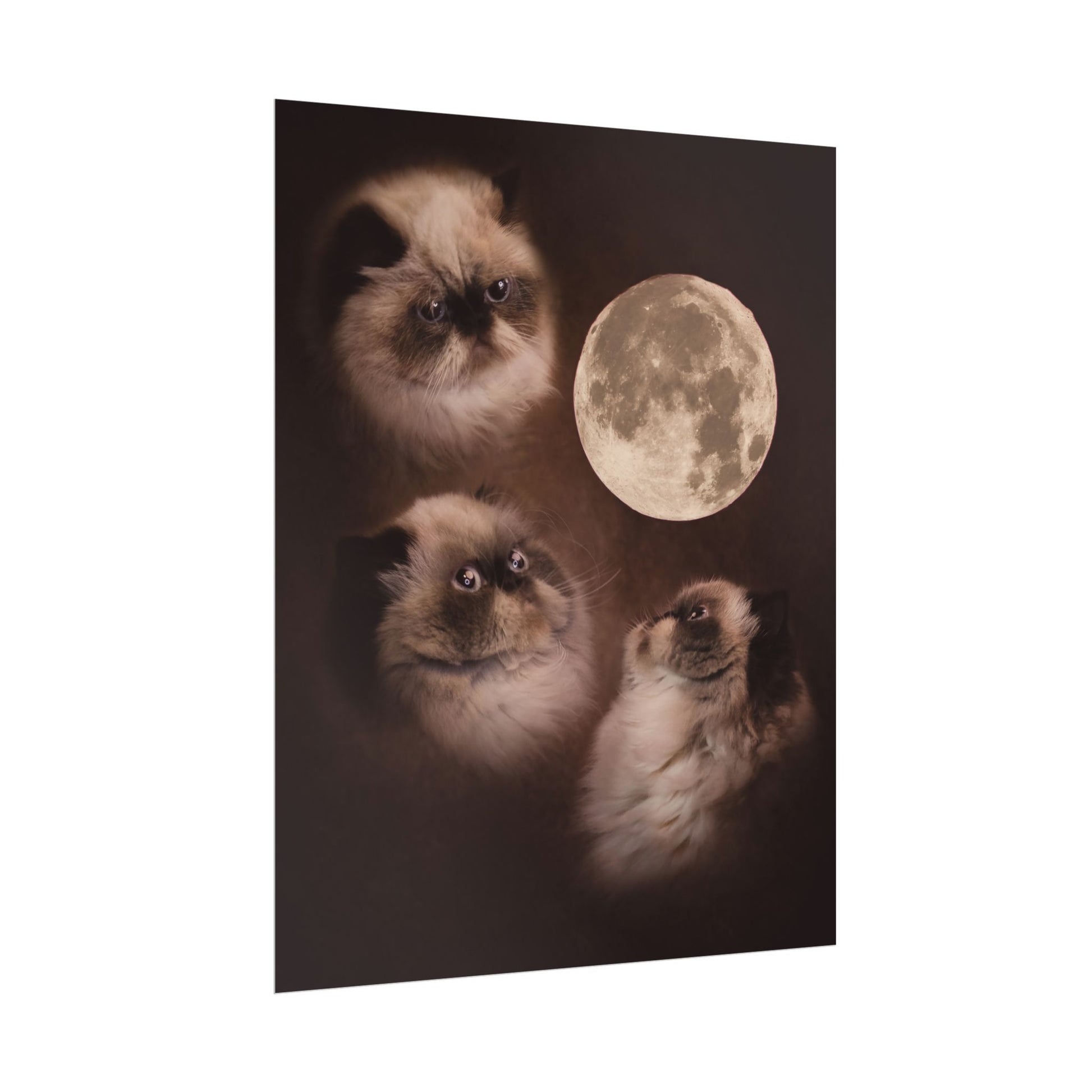 Meowing at the moon - Fine Art Poster