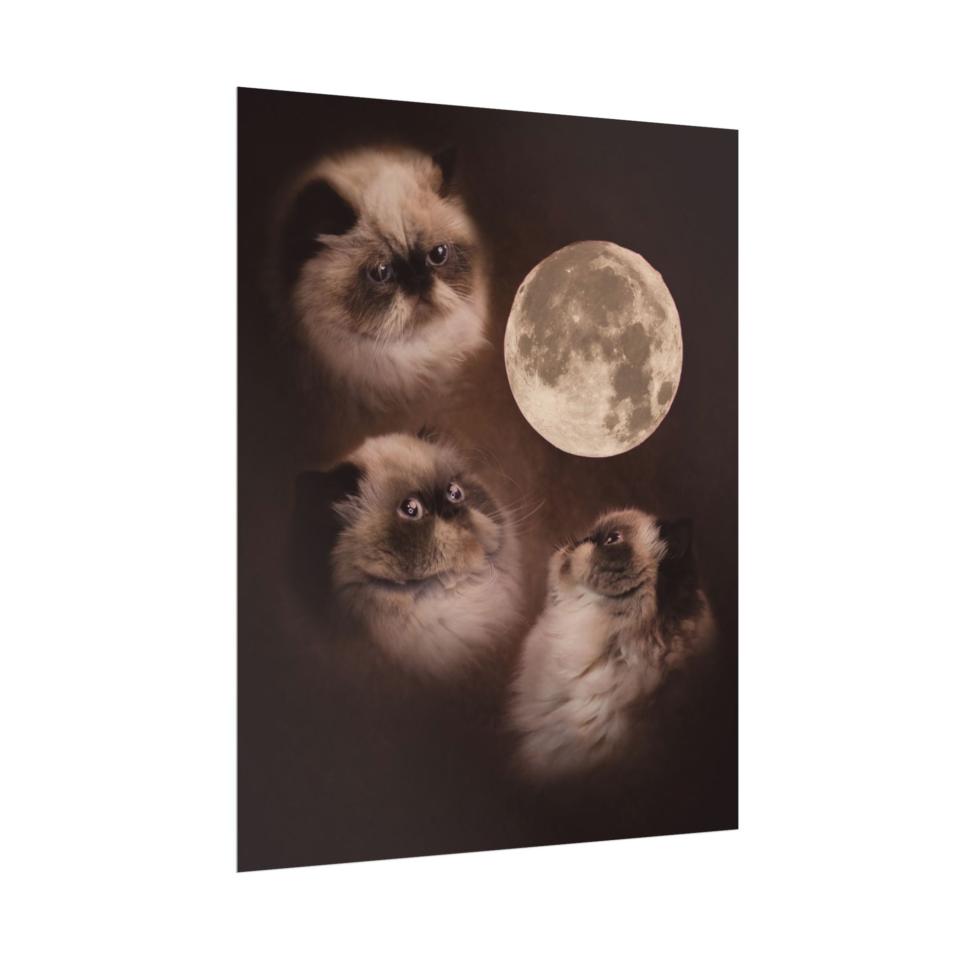 Meowing at the moon - Fine Art Poster