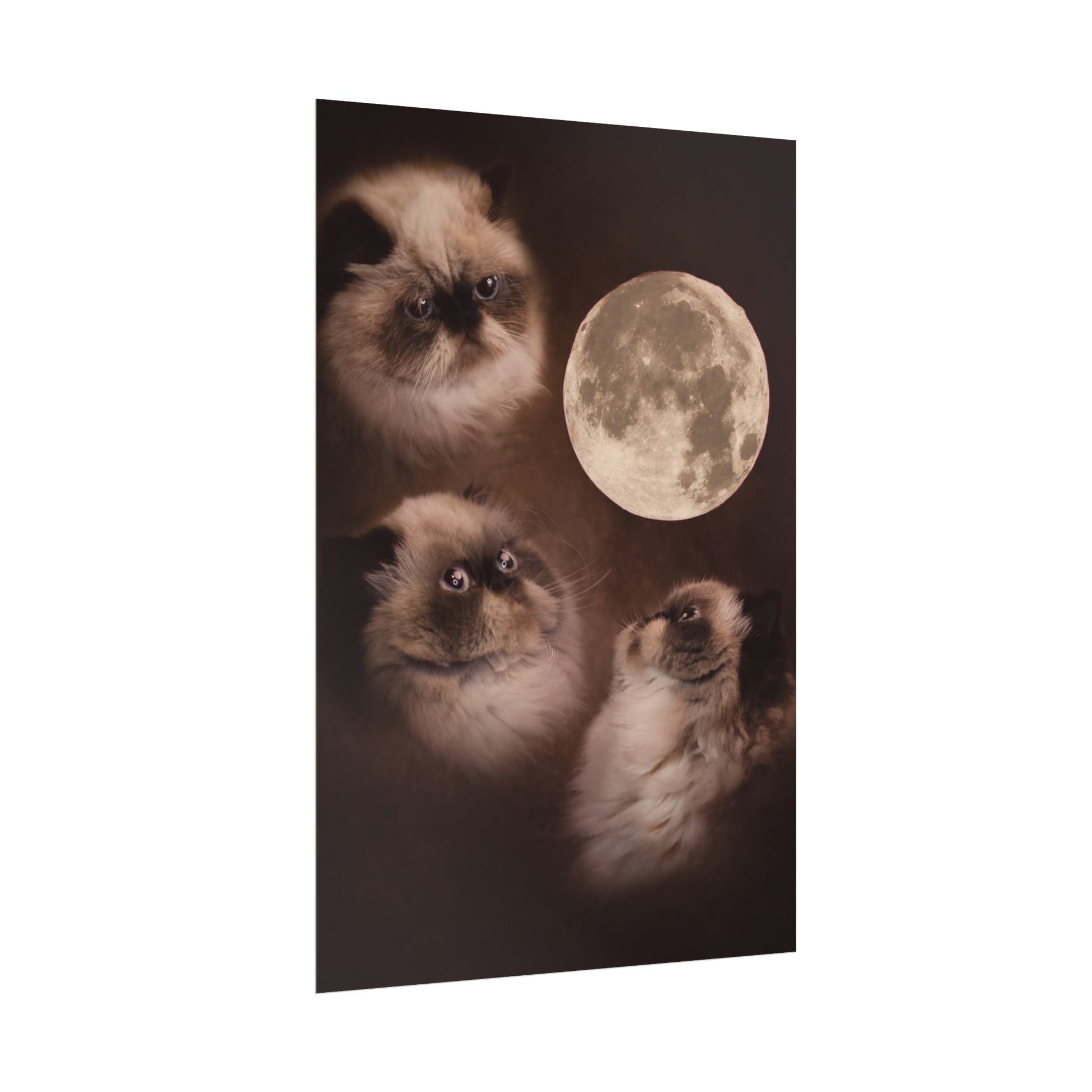 Meowing at the moon - Fine Art Poster