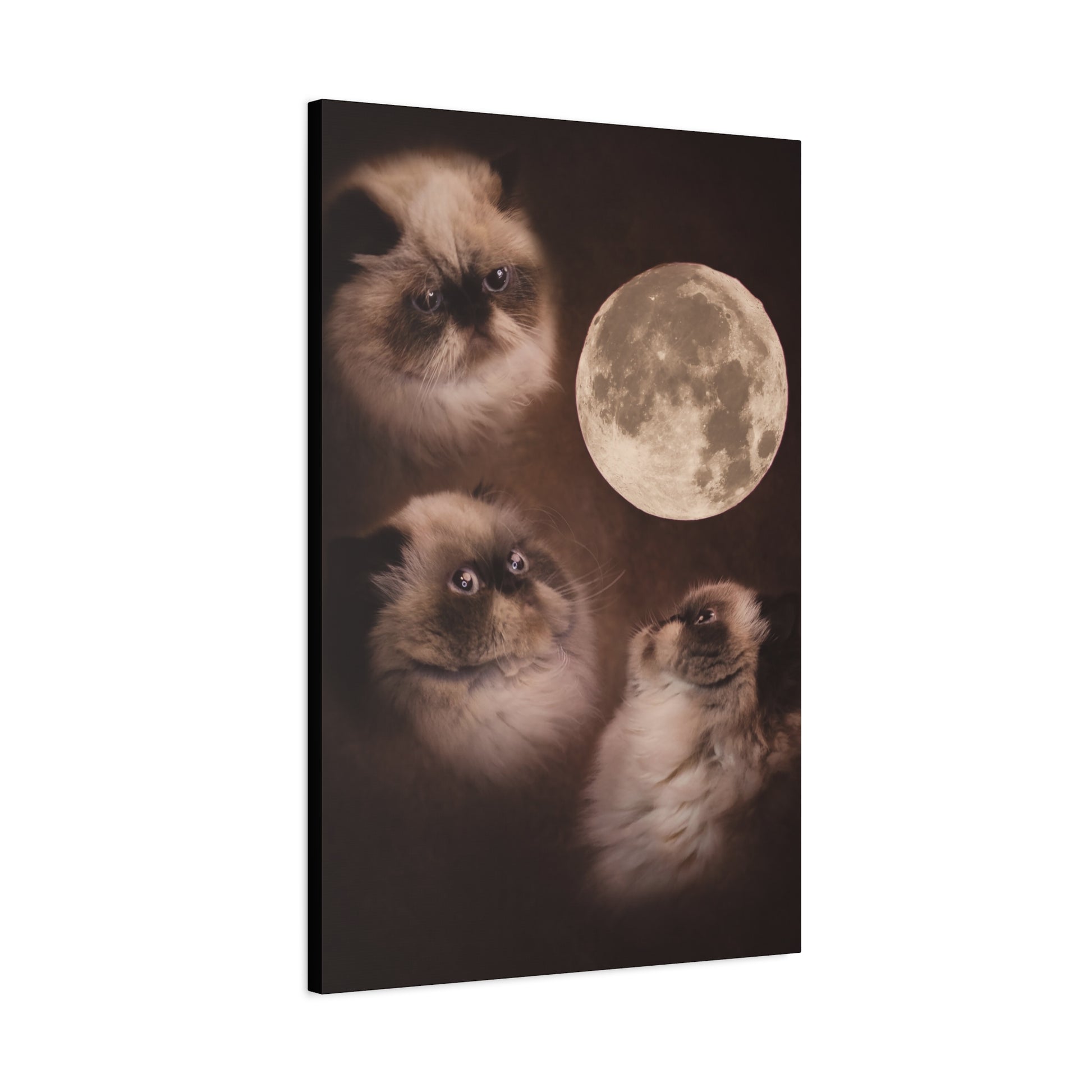 Meowing at the moon - Canvas