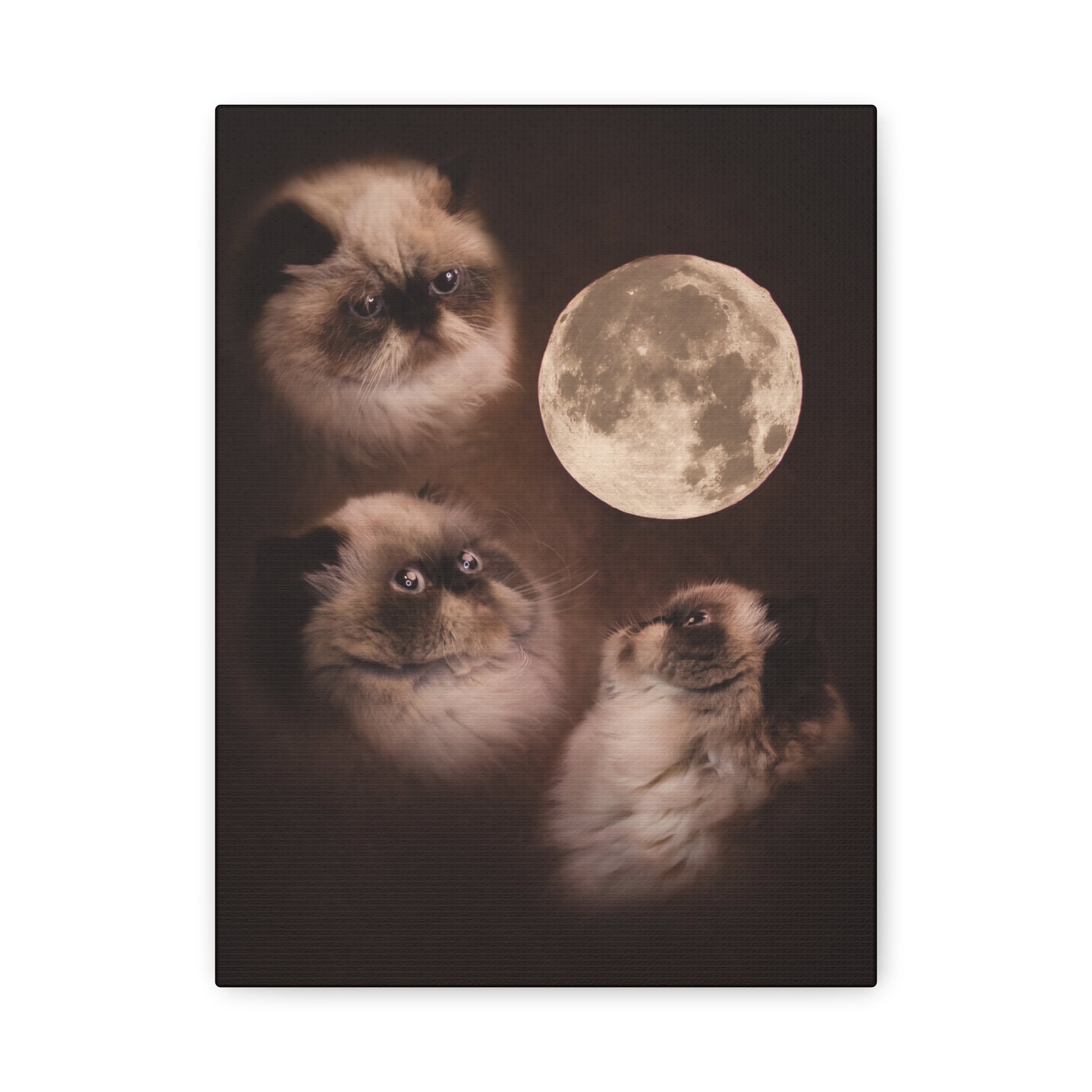 Meowing at the moon - Canvas