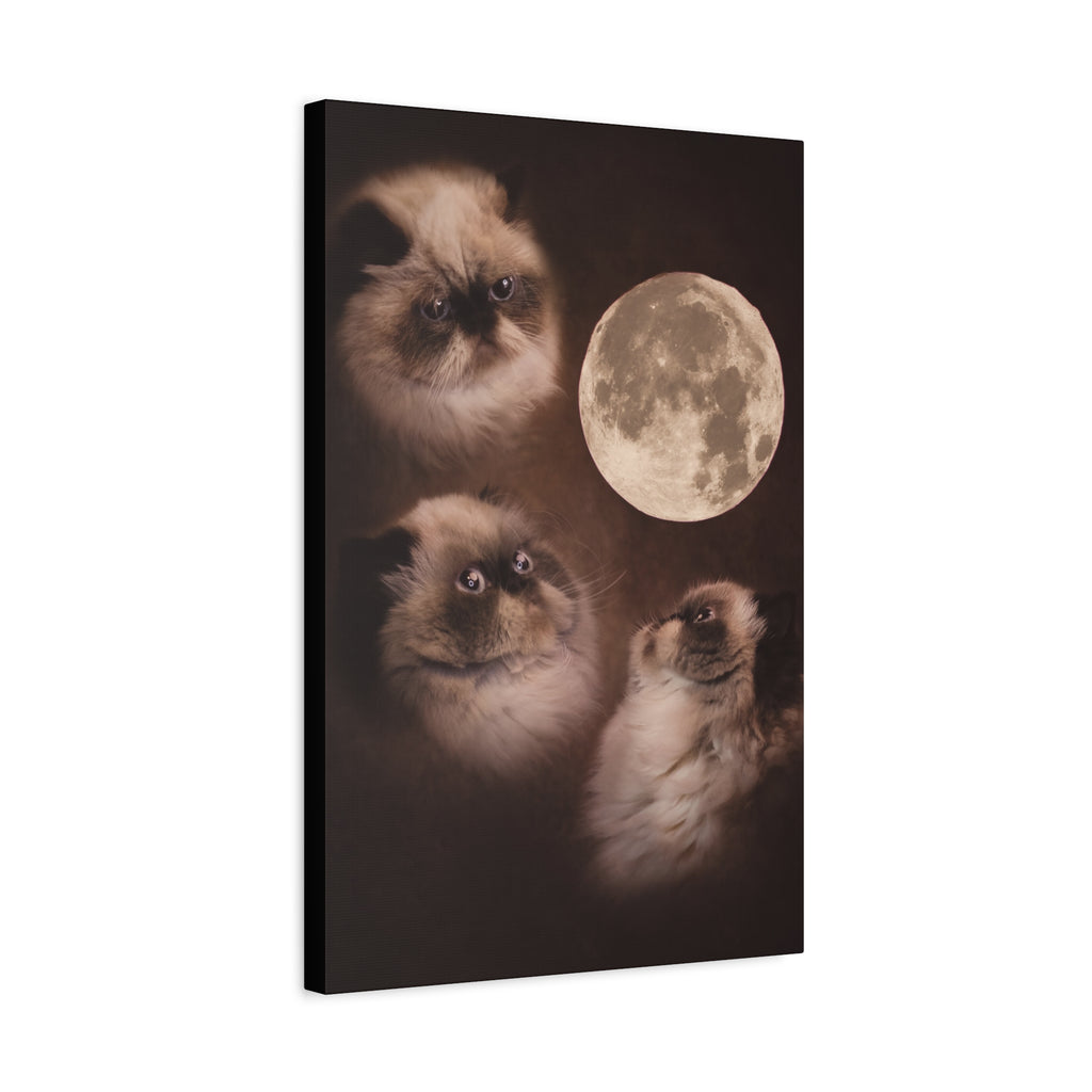 Meowing at the moon - Canvas