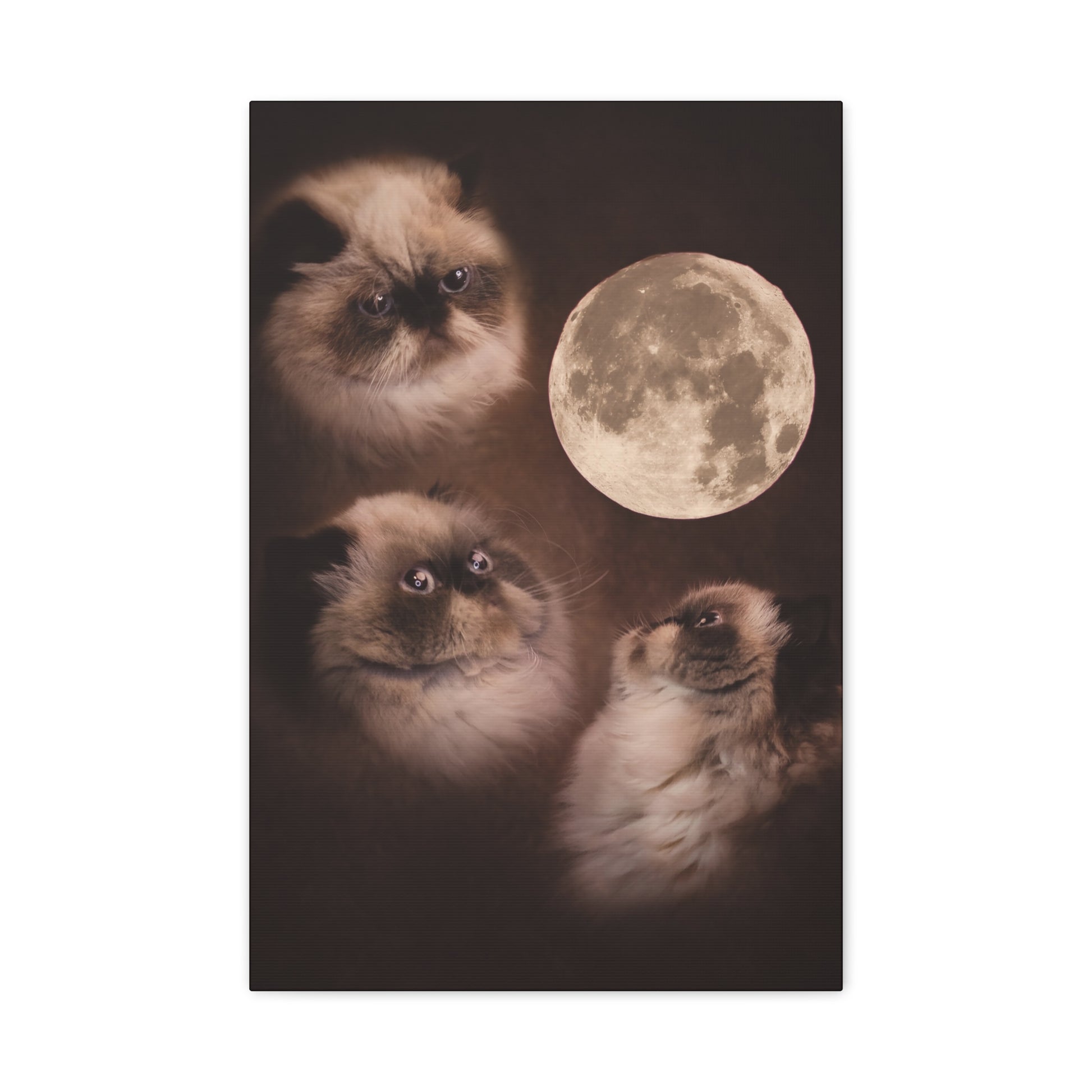 Meowing at the moon - Canvas