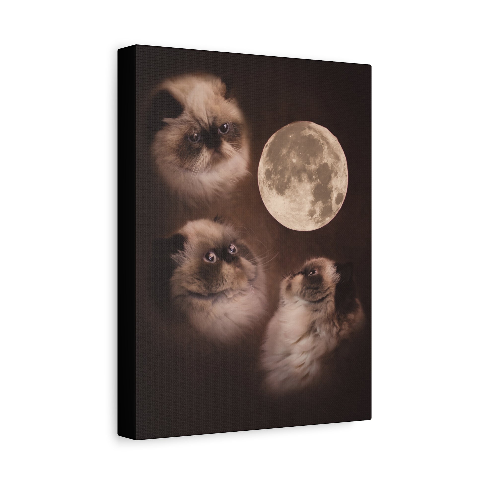 Meowing at the moon - Canvas
